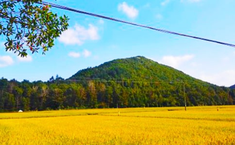 �������յ��ռ�