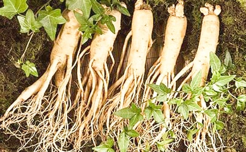 呐喊自序教案(给闲人参考)(本站论坛稿) 教案教学设计