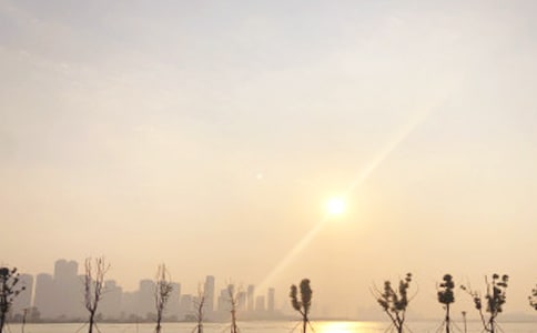 �����ճ������