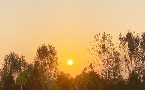 ���ճ��ռ�(6ƪ)