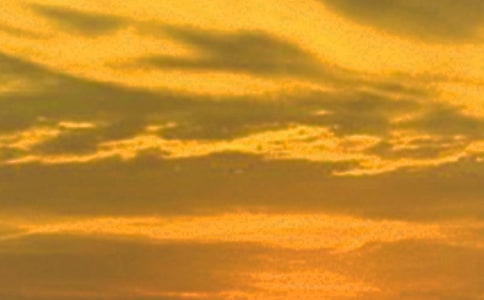 �й�����Сѧ���Ļ��10ƪ