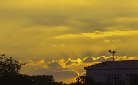 ������������Сѧ����300����ƪ