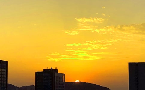 ����Сѧ���ıر���7ƪ��