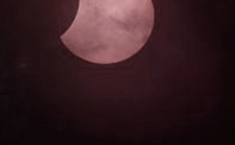 ����ʳ����ʳ���̰�