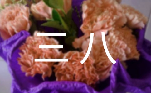 �������������̰�ģ�壨ͨ��5ƪ��