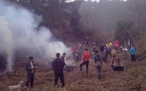 关于扫墓的日记