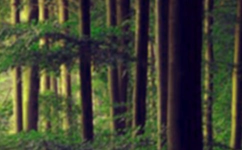 ɭ�ֽ�ѧ��˼��ͨ��30ƪ��