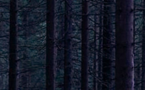 ����ɭ��ͯ��Сѧ���Ļ���ƪ