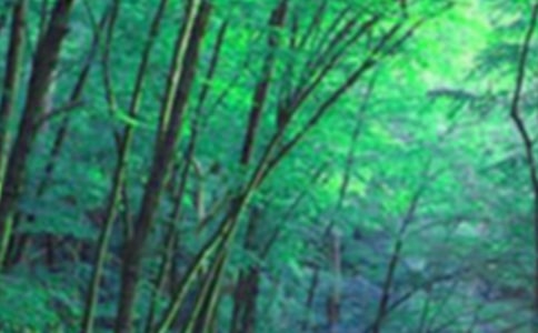 ����ɭ��ͯ��Сѧ���Ļ�����ƪ