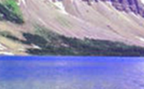 ɽˮ��԰ʫ����--����ũ����ż��ɽ�ֿ�(�˽̰����)