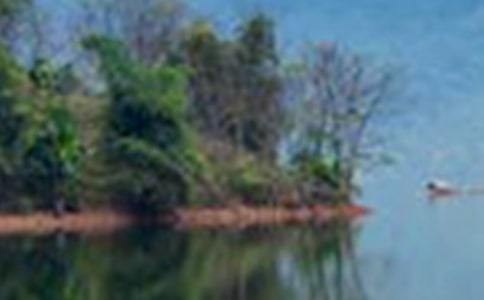 �ĺ�������Ԫ����ɽˮ��ѧ��������