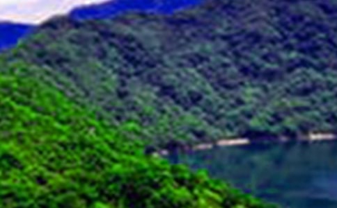 ɽˮ��԰ʫ����