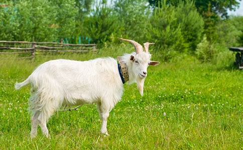 ��ɽ�������ء���ѧ��� �̰���ѧ���