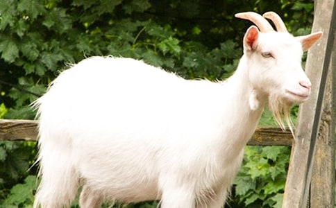 ���龳���в��--��˵��Է��ִ�̵ġ�ɽ�������ء�һ�ε�������ĳ��ַ�ʽ