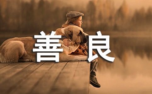 д�����ļ�����