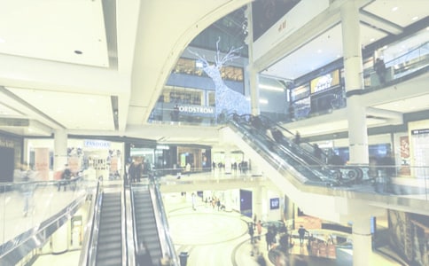 �̳�����������