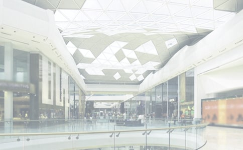 �̳�����������8ƪ