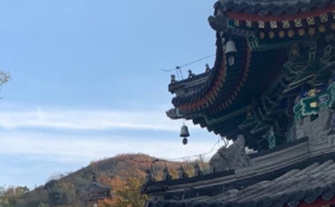 世界上下五千年读书笔记