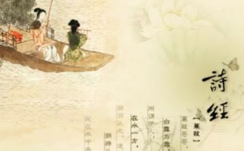 《诗经》三首(网友来稿) 教案教学设计