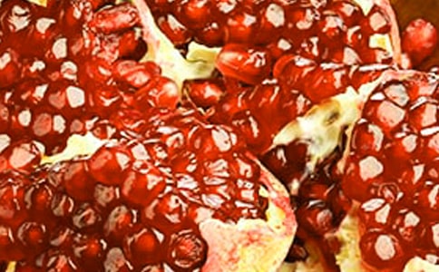 ʯ��Сѧ����[����15ƪ]