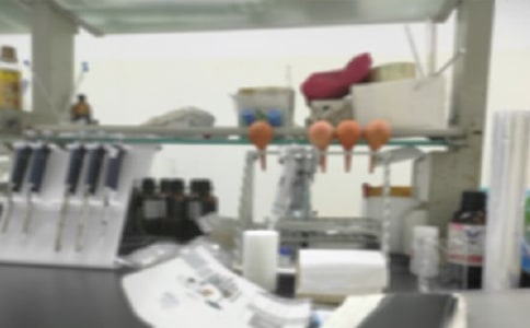 ʵ�����Բ鱨��