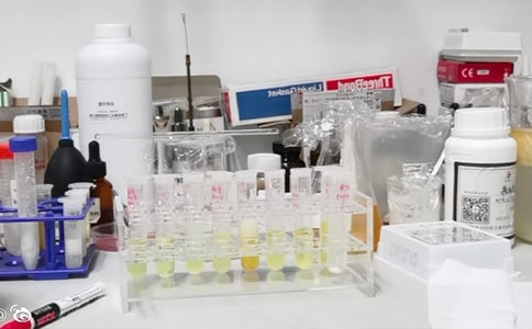 ʵ���Ұ�ȫ�Բ鱨��(�ϼ�15ƪ)