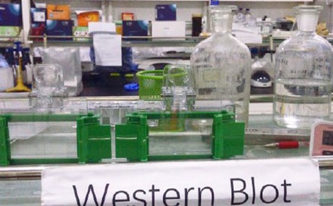 ʵ���Ұ�ȫ�Բ鱨�����㡾15ƪ��