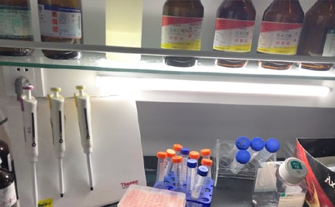 ѧУʵ�����Բ鱨��