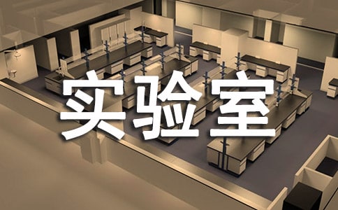 ʵ���Ұ�ȫ�Բ鱨��(15ƪ)