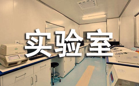 实验室自查报告(15篇)