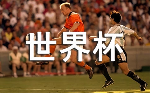 �������籭�ۺ��