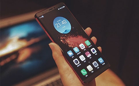 �ֻ�������Сѧ������