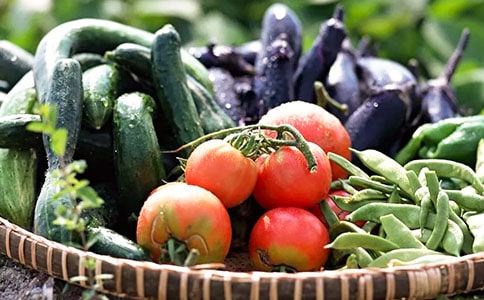 �߲˹�����ͬ(13ƪ)