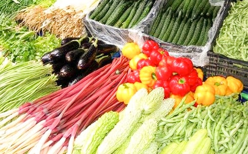 蔬菜供货供货合同(4篇)