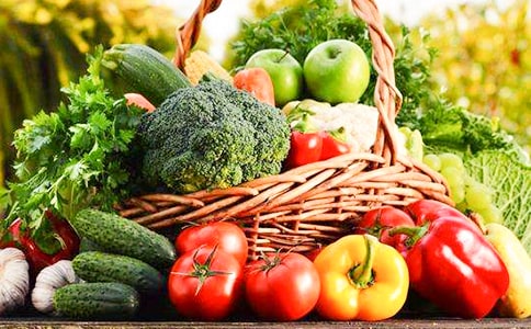 �߲˹���������ͬ4ƪ