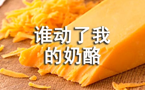 《谁动了我的奶酪》读后感【精】