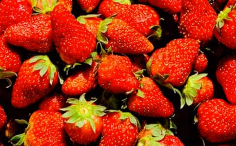 ��ʵ�á����꼶ˮ��������ƪ