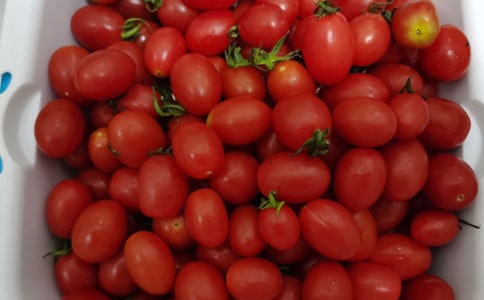 ˮ��������ͬ����15ƪ