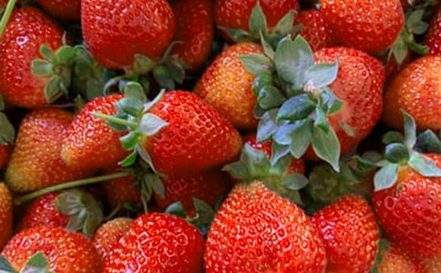 采购水果合同范本