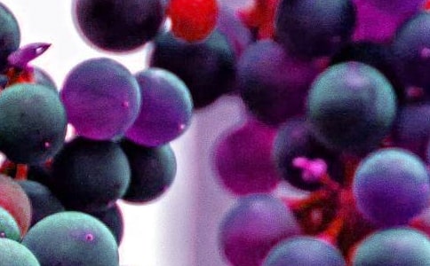 ����ˮ������˵�������Ļ�����ƪ