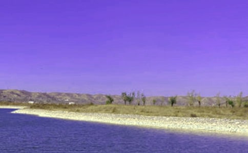 水库承包合同模板