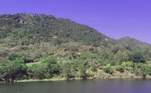 水库承包合同范本