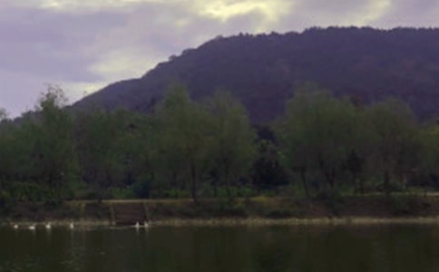 ˮ�⹤�̳а���ͬ6ƪ