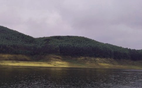 水库承包合同(集合15篇)