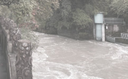 ˮ�����̽����Բ鱨������12ƪ