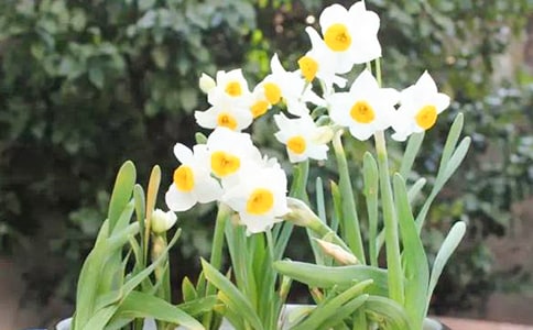 ˮ�ɻ������۲��ռ�