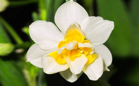 ˮ�ɻ��۲��ռ�