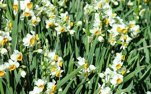 �۲�ˮ�ɻ����ռ�