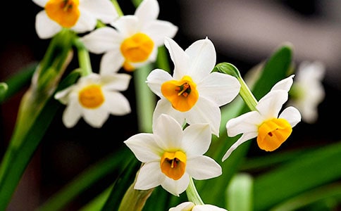 ˮ�ɻ�˵����