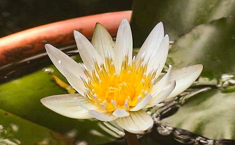 ˯������������ѧ�̰�